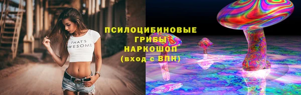 тгк Алексеевка