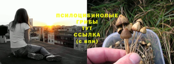спайс Алексин