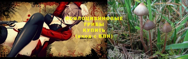 прущая мука Алзамай