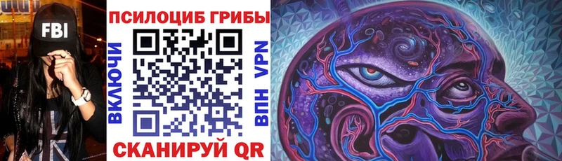 Купить где  Северобайкальск  Галлюциногенные грибы Psilocybine cubensis 
