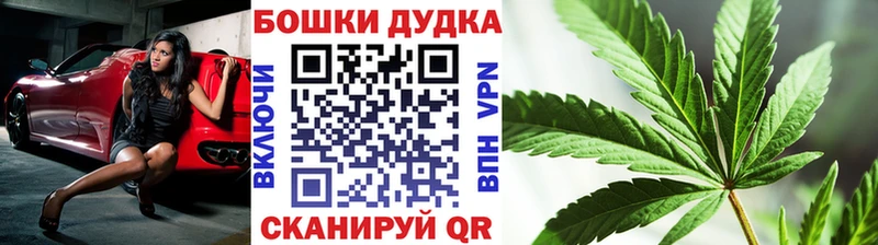 Бошки Шишки тримм  Купить закладки  Северобайкальск 